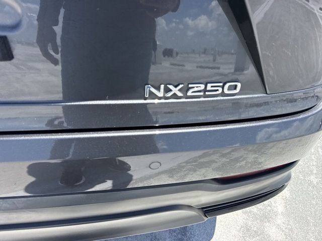 Certified Used 2025 CLOUDBURST GRAY Lexus 250 image 25