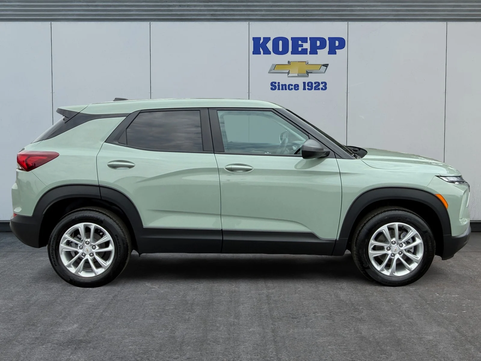 New 2026 Cacti Green Chevrolet LS image 6