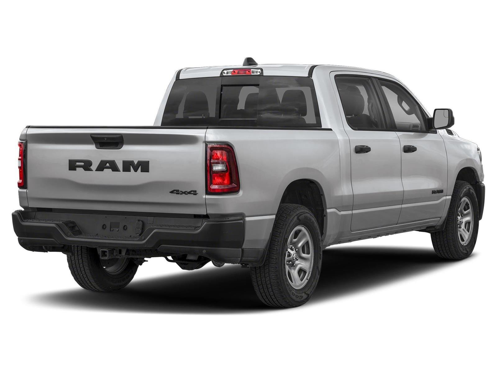 New 2026 Silver Zynith RAM Express image 11