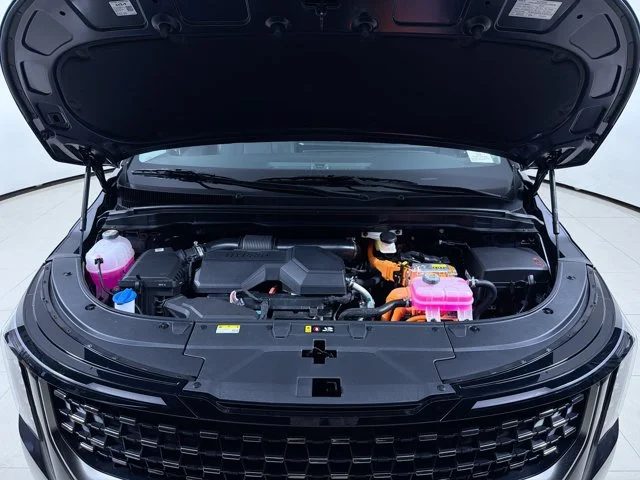 New 2027 PANTHERA METAL Kia LXS image 12