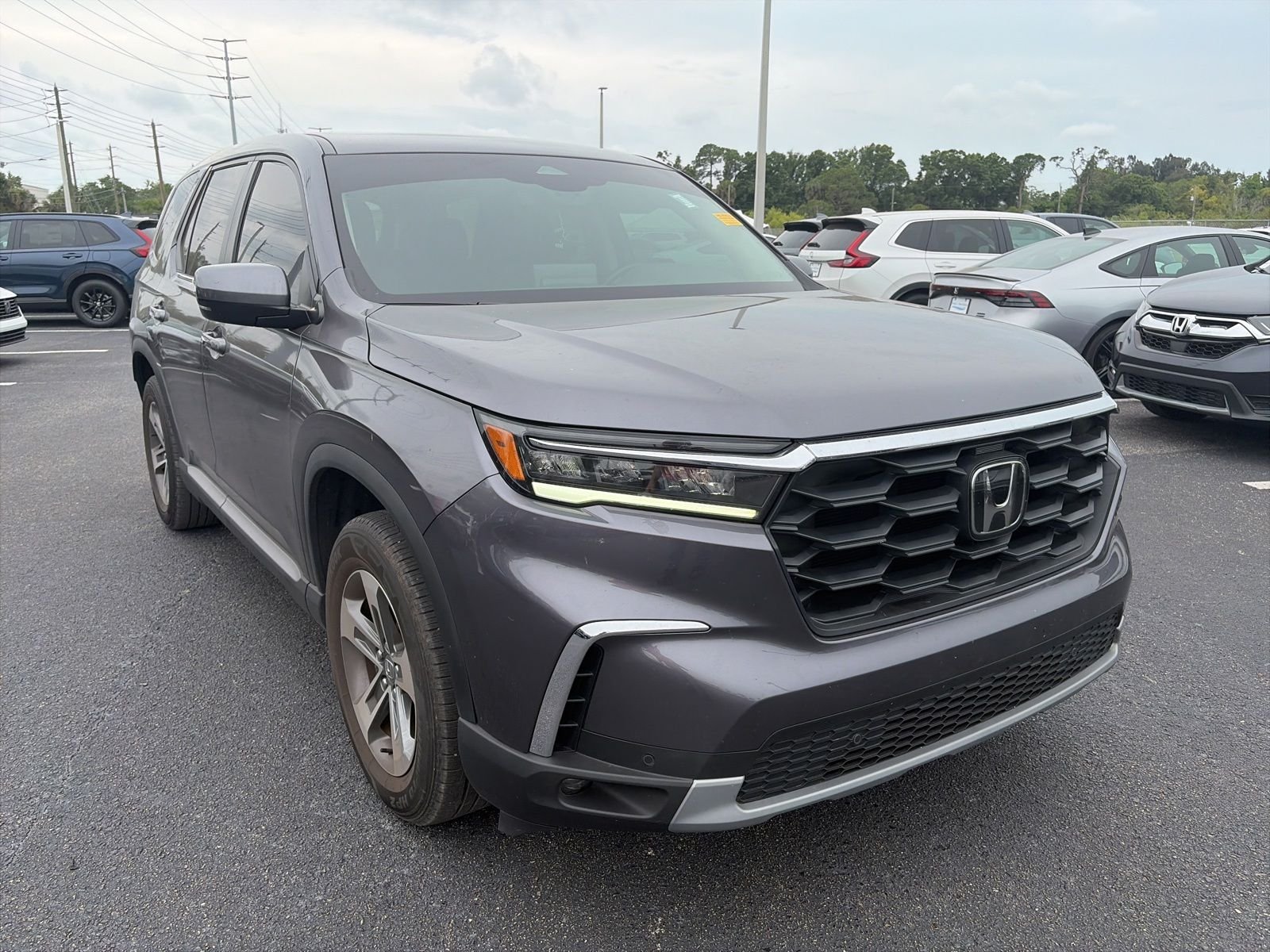 2025 Honda Pilot EX-L 2WD's photo