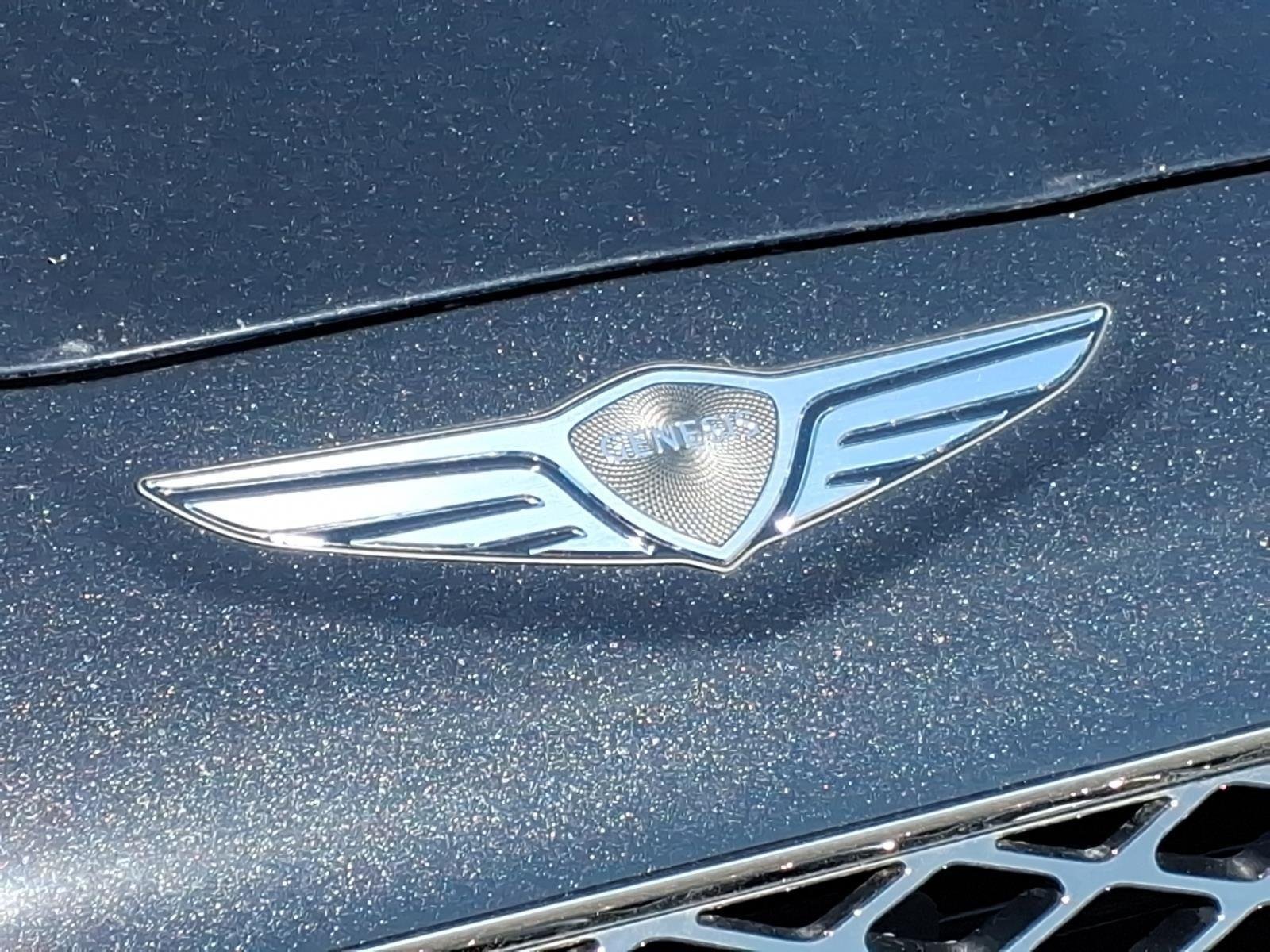 New 2026 Vik Black Genesis 2.5T image 24