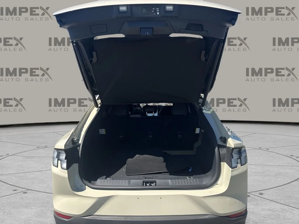 Used 2025 Beige Ford Premium image 29