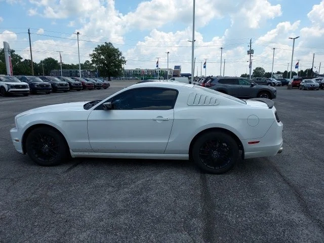 Used 2014 White Ford V6 image 8
