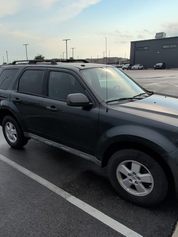 2009 Ford Escape XLT