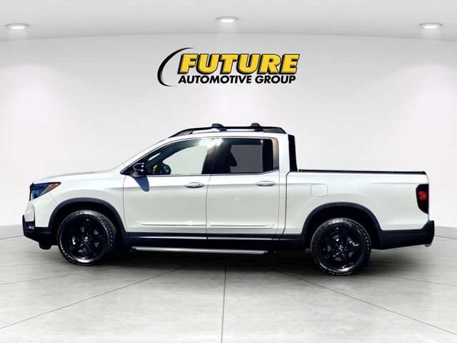 Used 2023  Honda Black Edition image 7