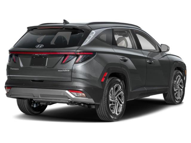 New 2026 Ecotronic Gray Hyundai Limited image 4