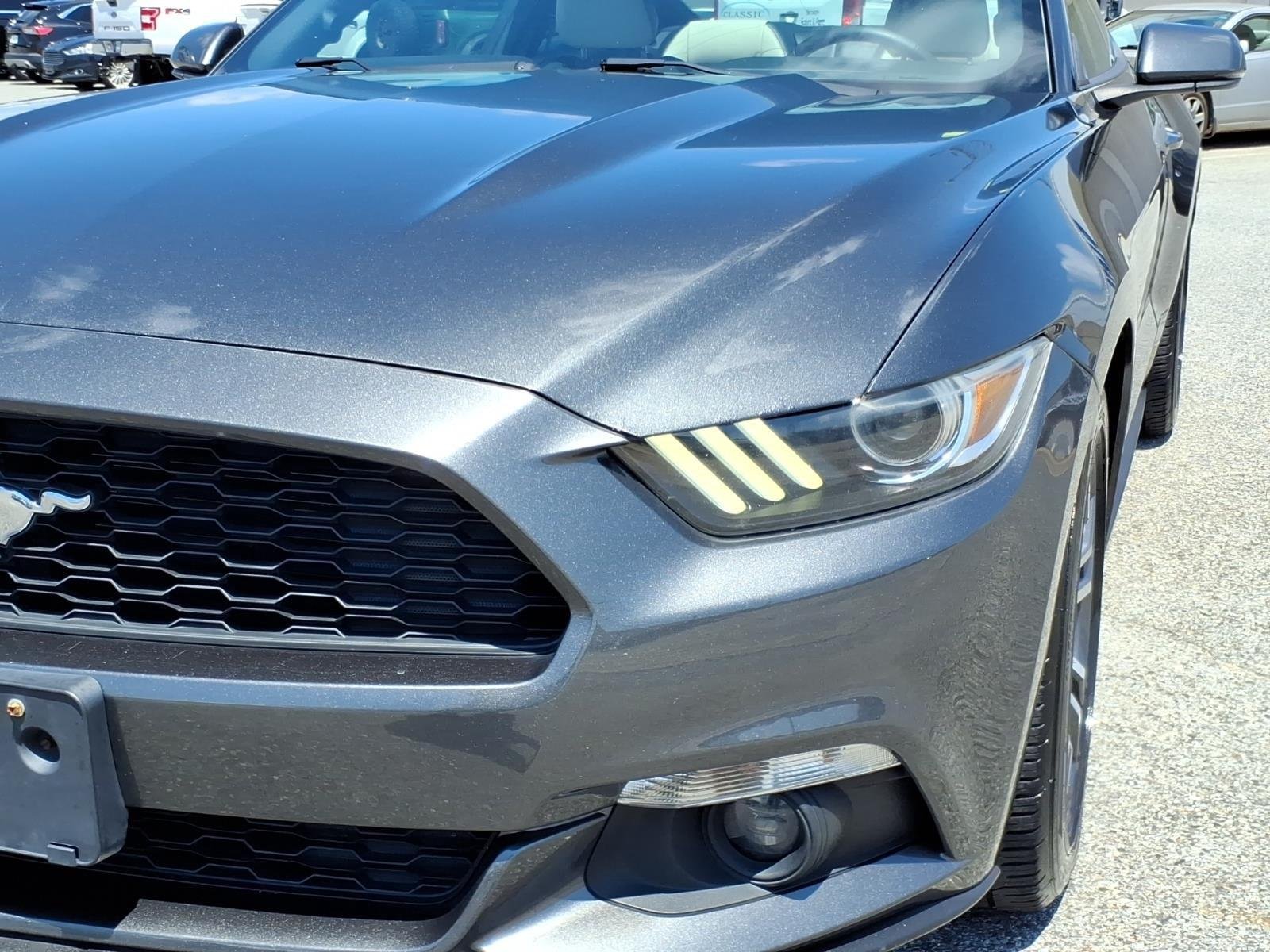 Used 2016 Magnetic Metallic Ford EcoBoost Premium image 15