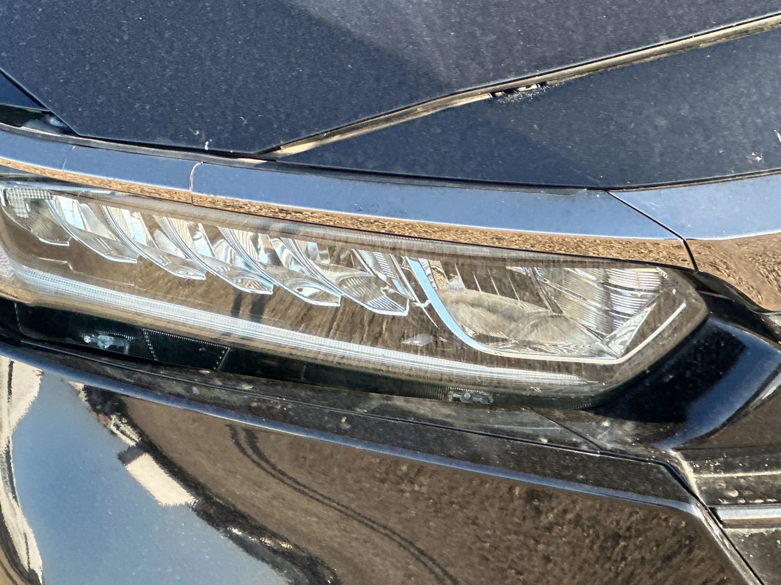Used 2021 Black Honda Sport image 4