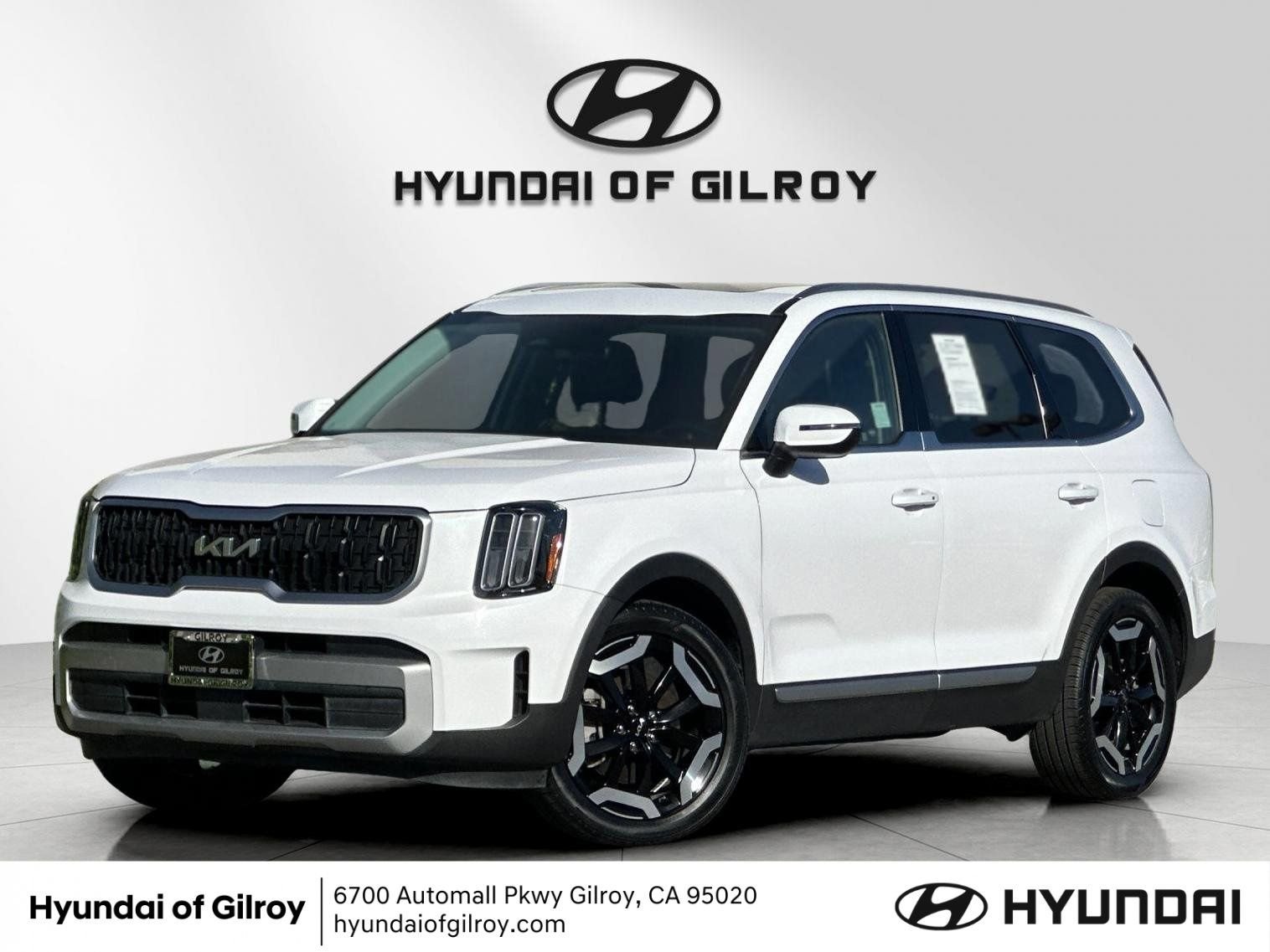 2023 Kia Telluride EX FWD's photo