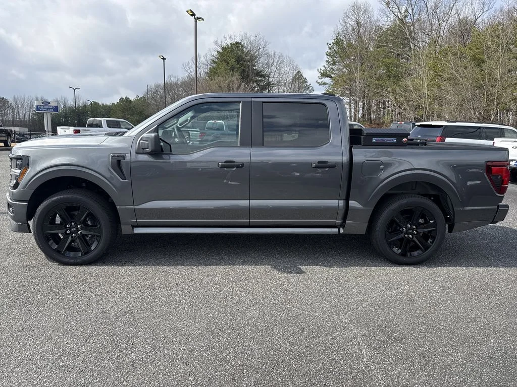 New 2026 Gray Ford STX image 4