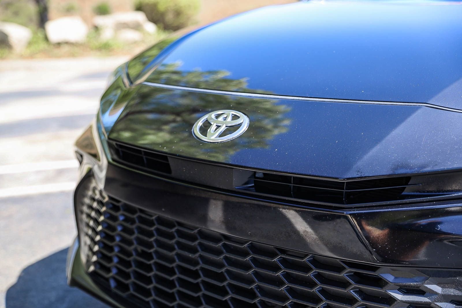 Certified Used 2025 ATTITUDE BLACK MC. Toyota SE image 11