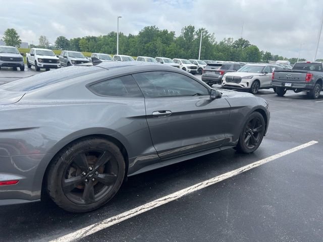 Used 2021 Gray Ford EcoBoost image 10