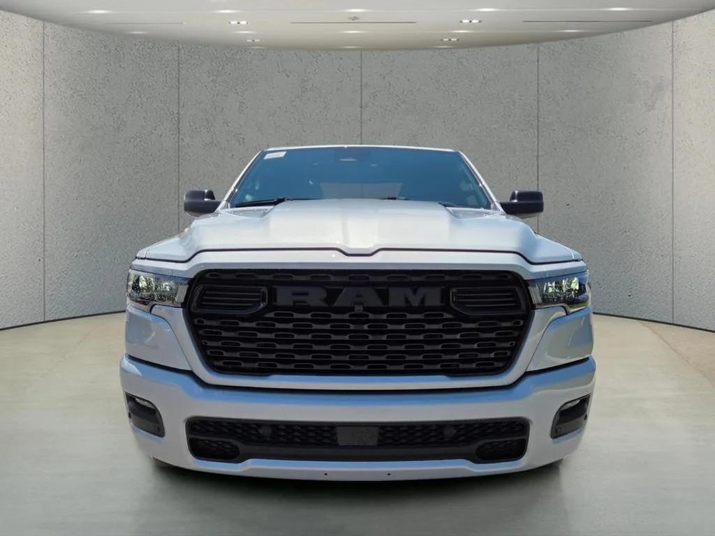 New 2026 Silver Zynith Exterior Paint RAM Express image 12