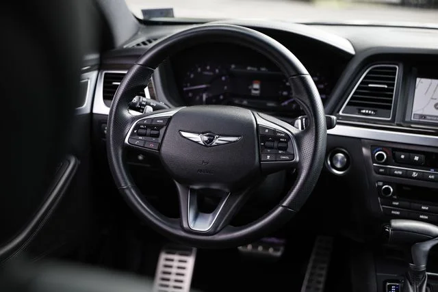 Used 2020 Himalayan Gray Genesis 3.8 image 29