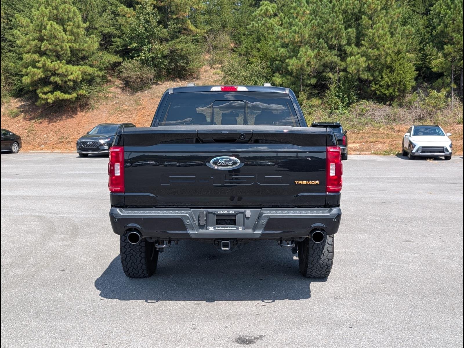 2023 Ford F-150 Tremor - Photo 6