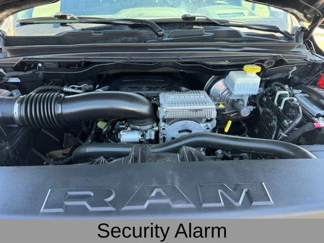 Used 2023 Black Ram Rebel image 29