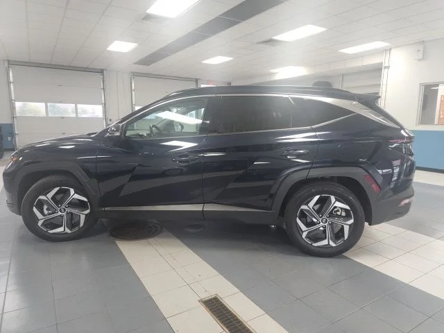 Used 2023 Deep Sea Hyundai Limited image 6