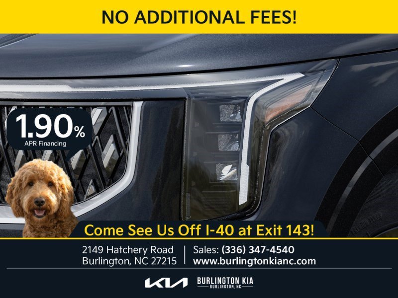 New 2026 Panthera Metal Kia LXS image 10