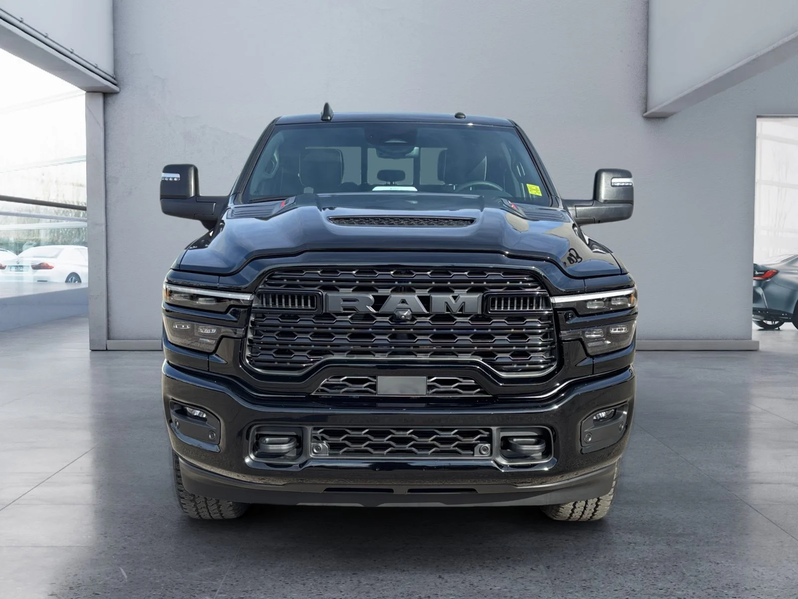 New 2027 Diamond Black Crystal Pearl Ram Limited image 8