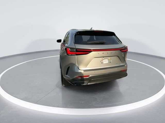 2026 Lexus NX 350 - Photo 7