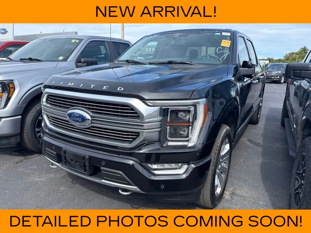 Used 2023 Black Metallic Ford Limited image 1