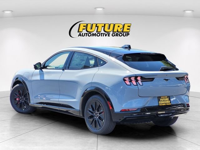 New 2025 Glacier Gray Metallic Tri-coat Ford Premium image 22