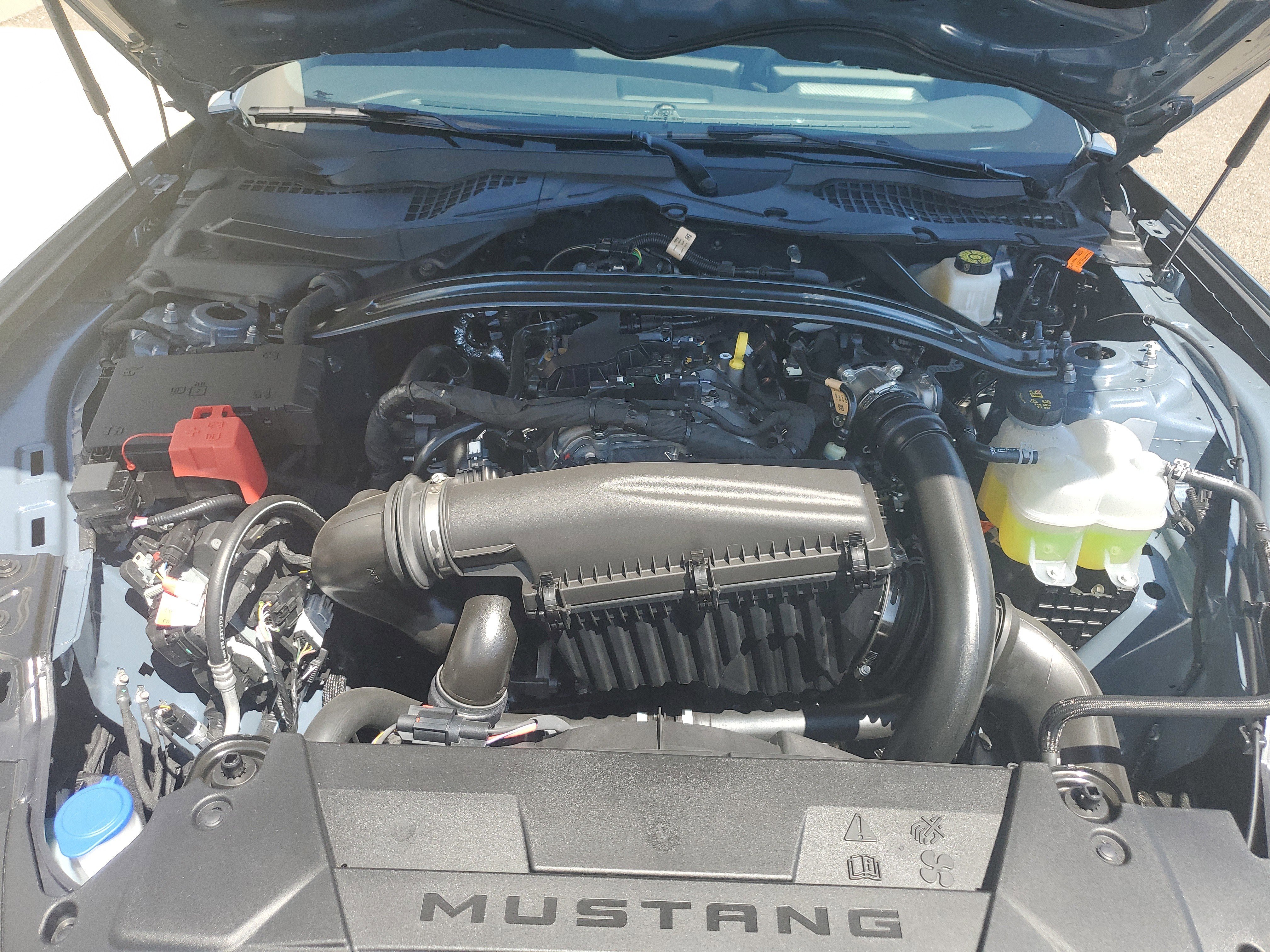 2025 Ford Mustang EcoBoost Convertible - Photo 19