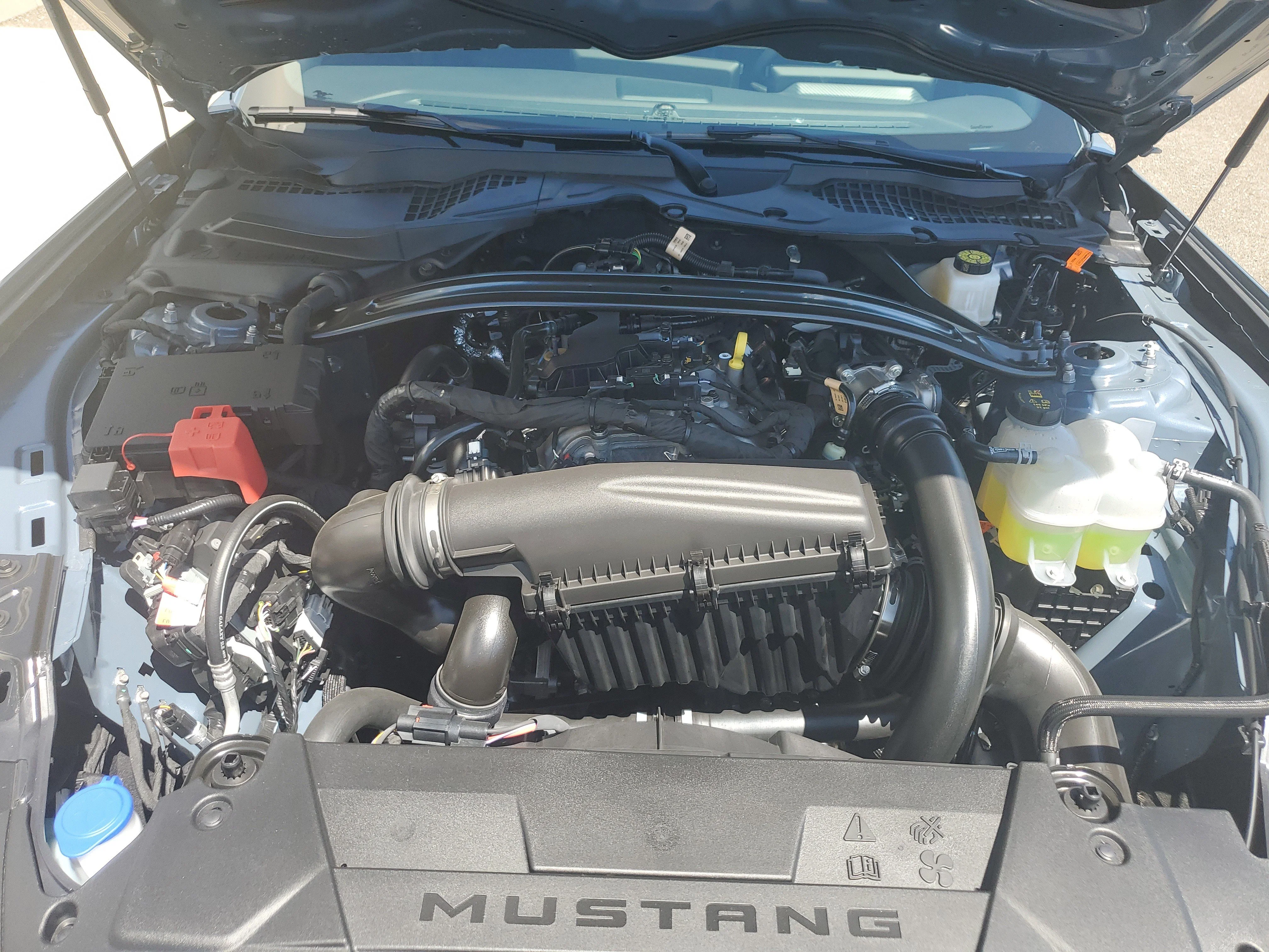 Used 2025 Vapor Blue Metallic Ford EcoBoost image 19