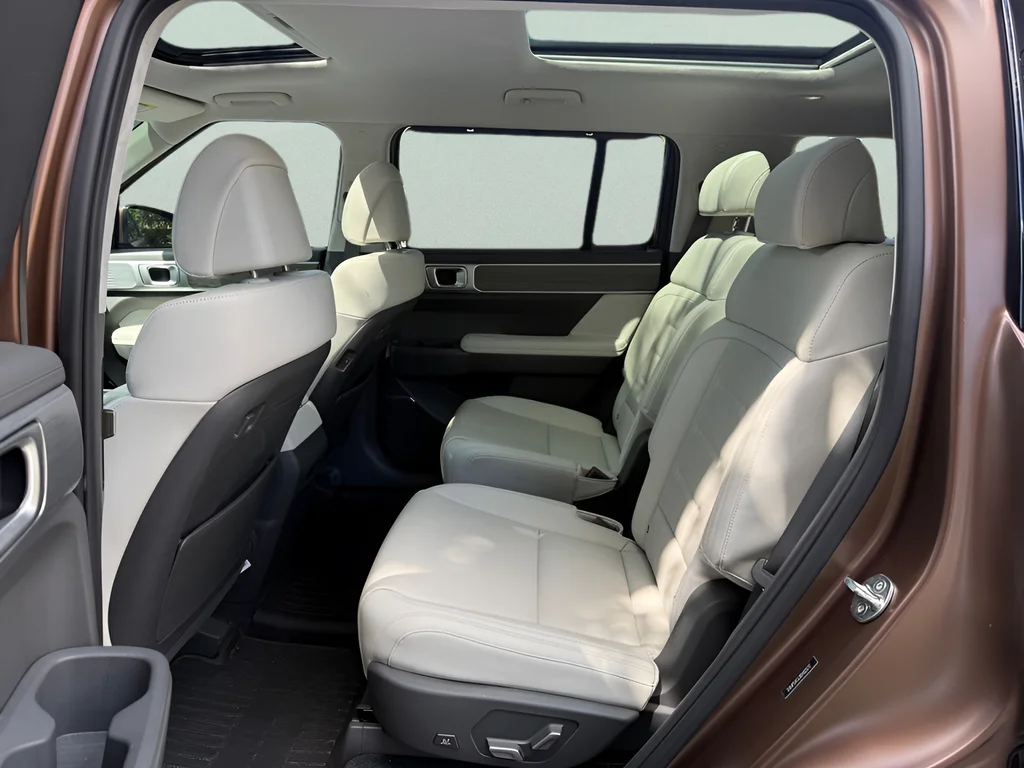Used 2024 Earthy Brass Matte Hyundai Calligraphy image 11