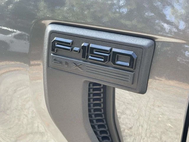 New 2026 Gray Ford STX image 6