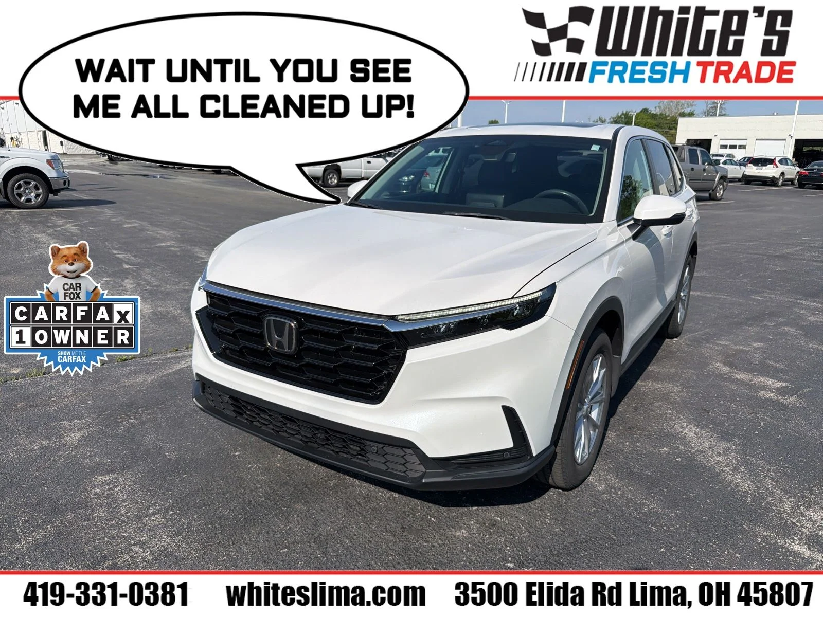 2024 Honda CR-V EX-L AWD's photo
