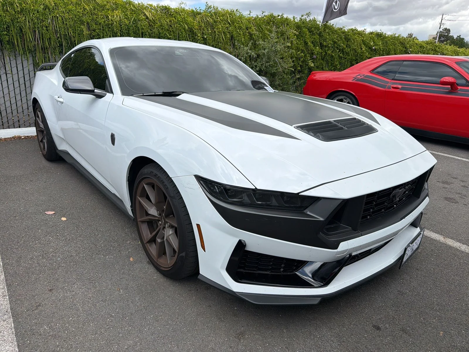 2024 Ford Mustang Dark Horse's photo