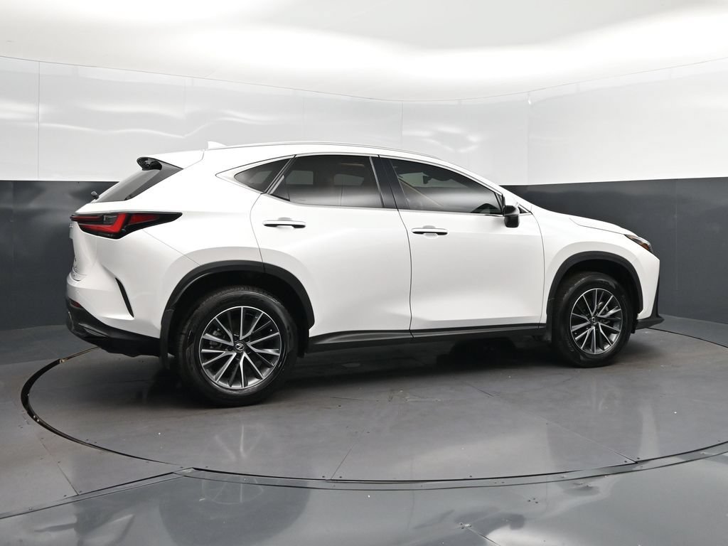 2025 Lexus NX 350 - Photo 8
