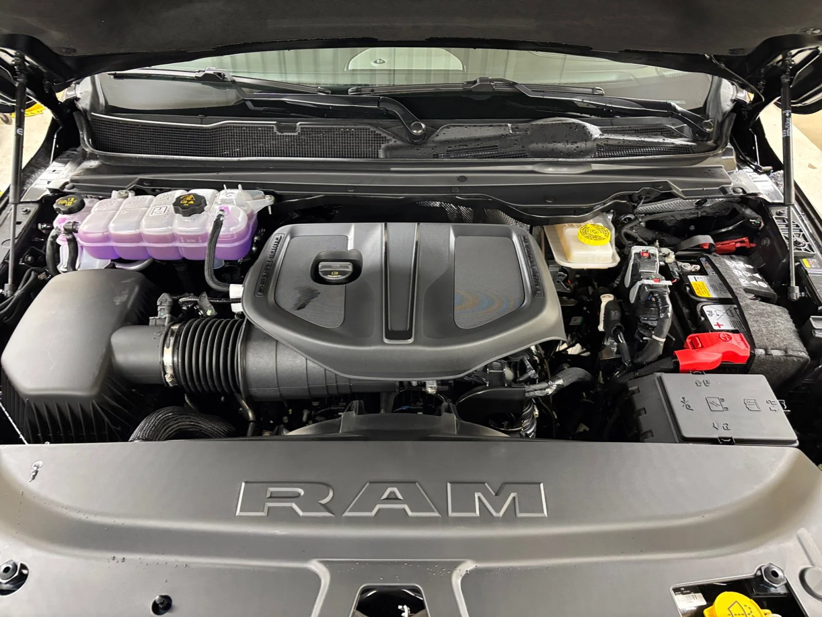 New 2027 Diamond Black Crystal Pearl Ram Rebel image 20