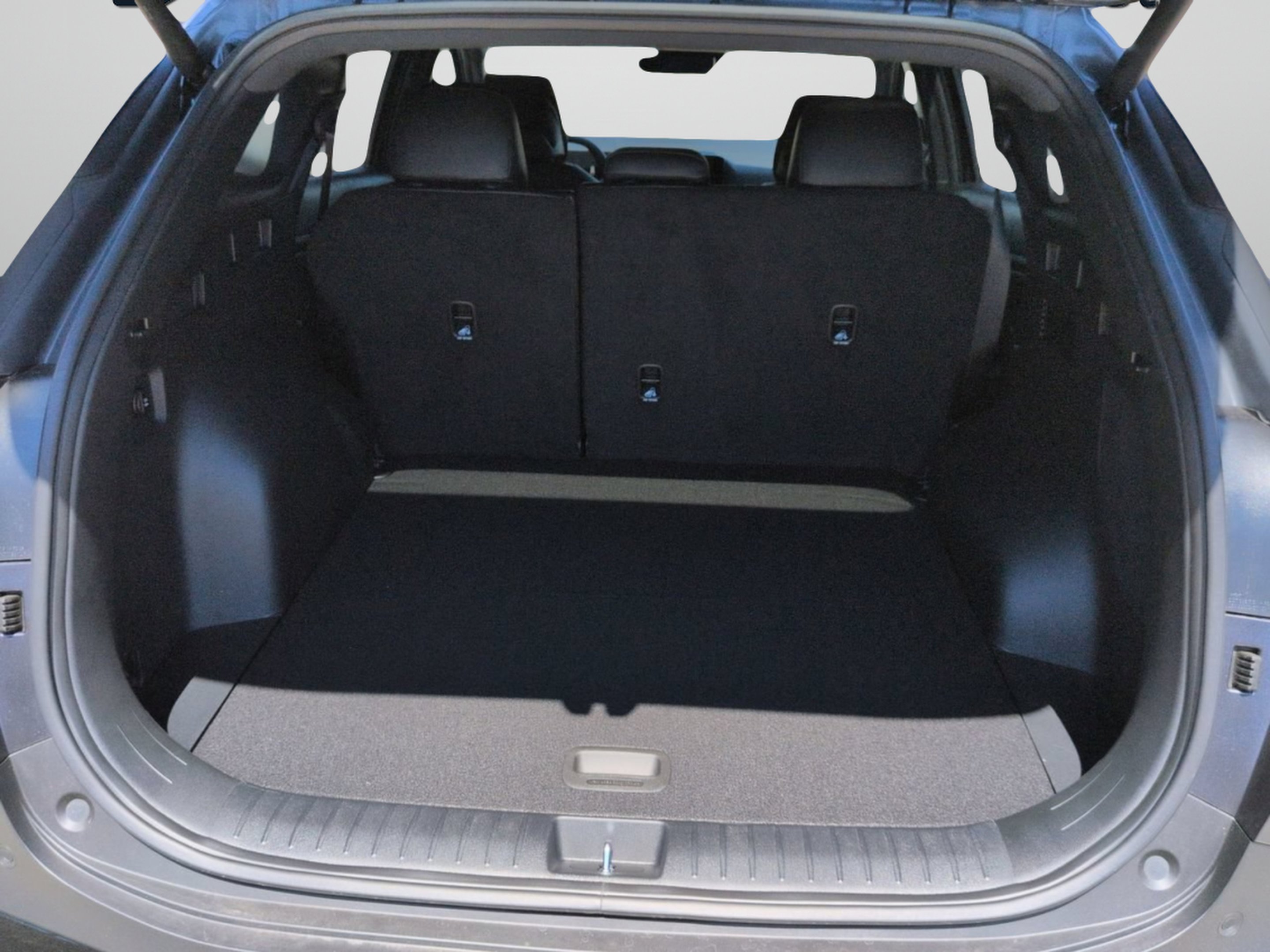 New 2026 Panthera Metal Matte Kia X-Line image 36