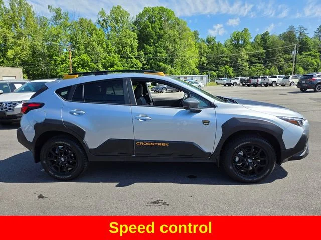 Used 2025 Silver Subaru Wilderness image 10