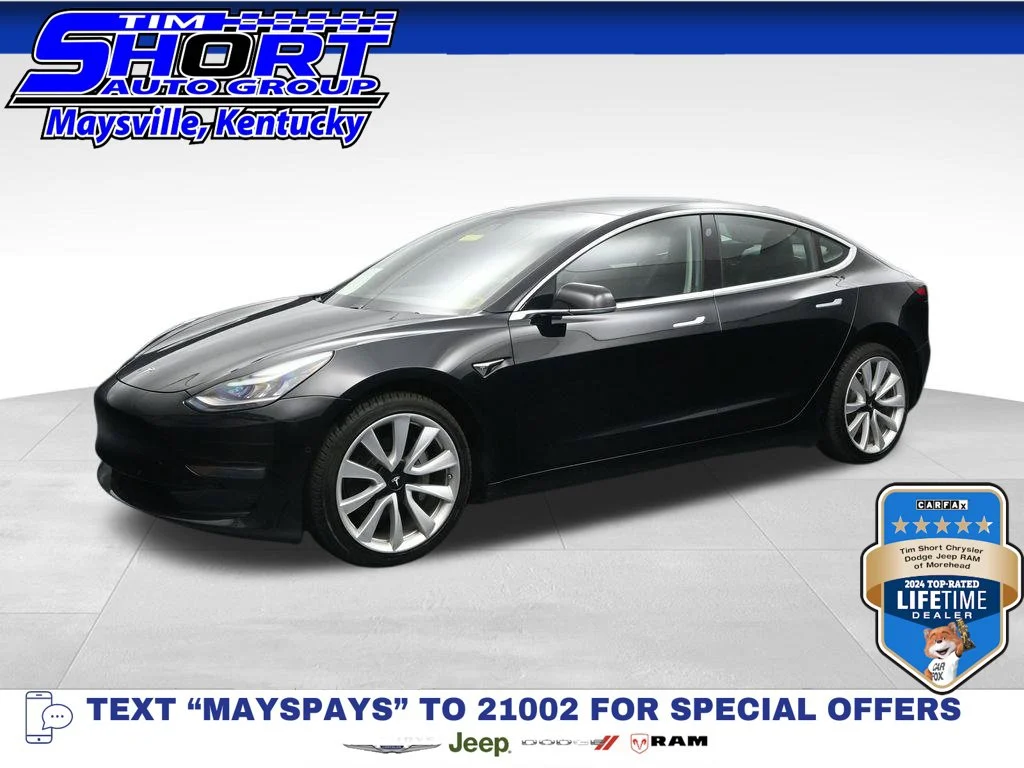 Used 2019  Tesla Standard Range Plus image 1