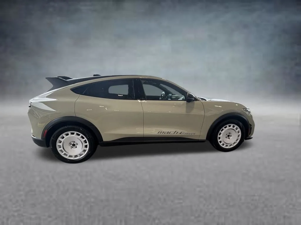 2025 Ford Mustang Mach-E GT - Photo 3