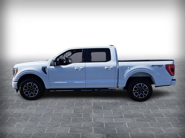 Used 2023 White Ford XLT image 4