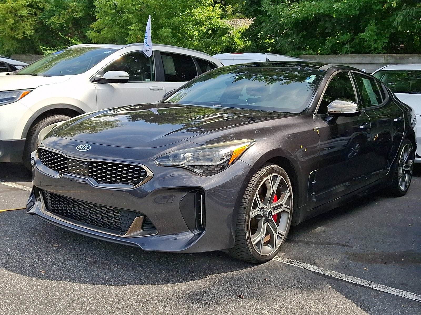 Used 2019 Panthera Metal Kia GT2 image 3