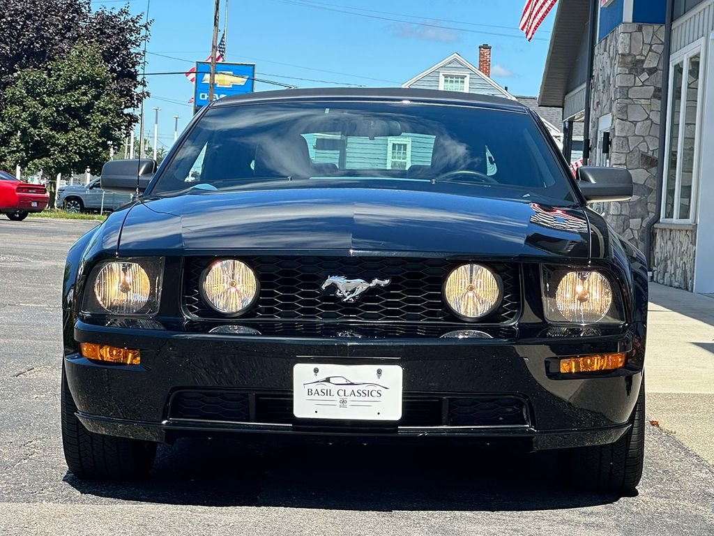 Used 2005 Black Ford  image 11