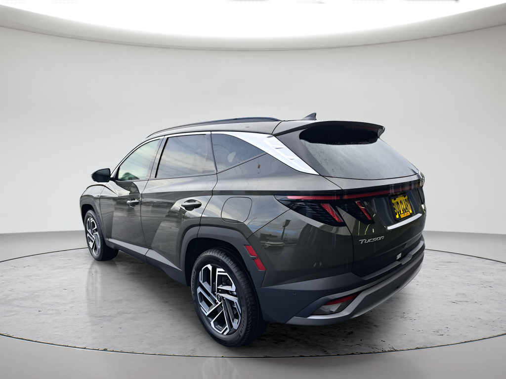 New 2026 Green Hyundai Limited image 5