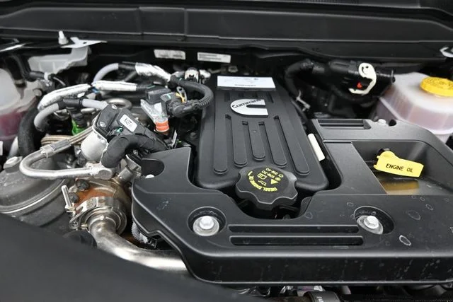 Used 2025 White Ram Limited image 38