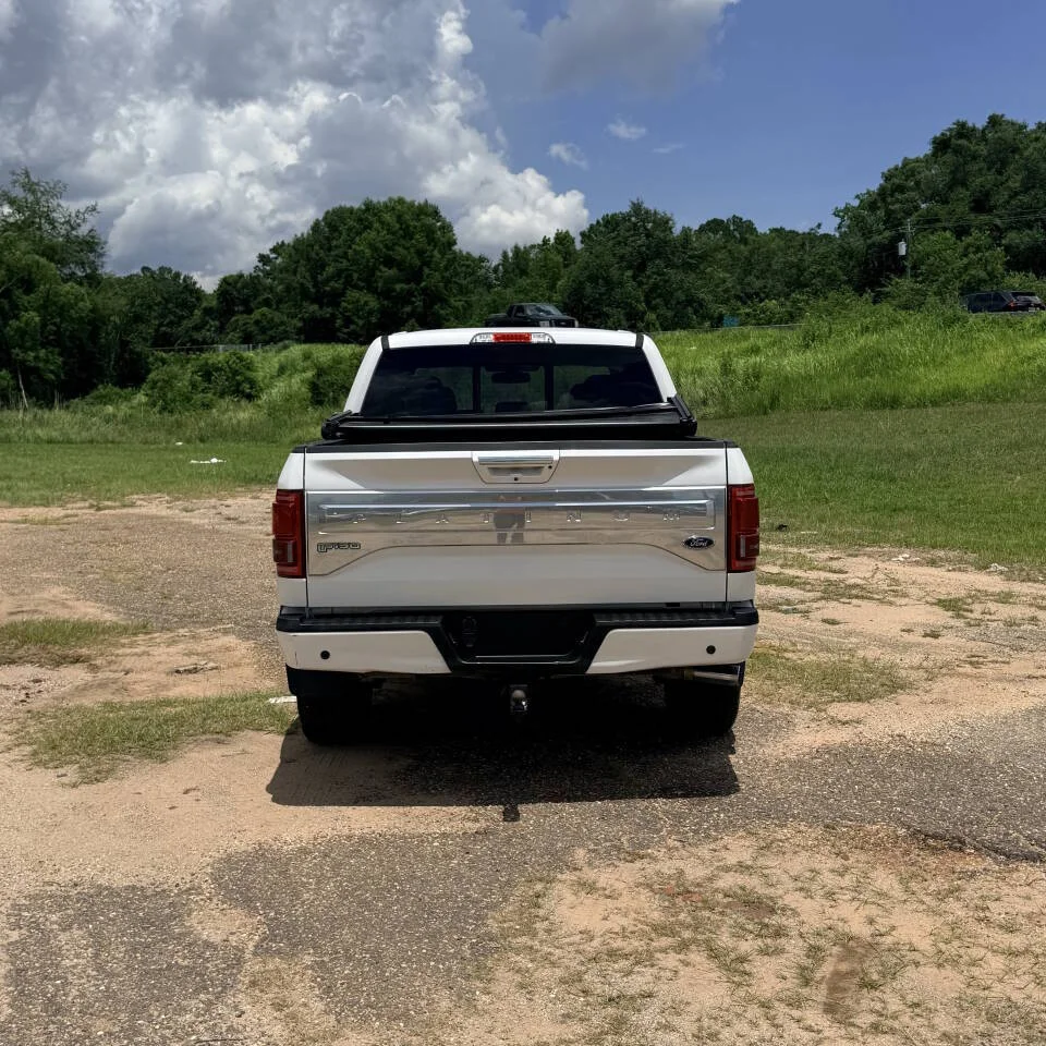 Used 2015 White Ford Platinum 4x4 4dr SuperCrew 5.5 ft. SB image 4