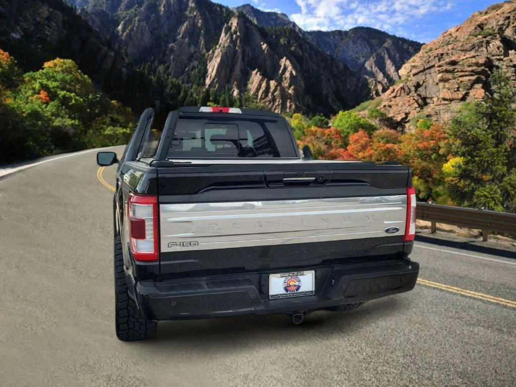 Used 2021 Black Ford Platinum image 4