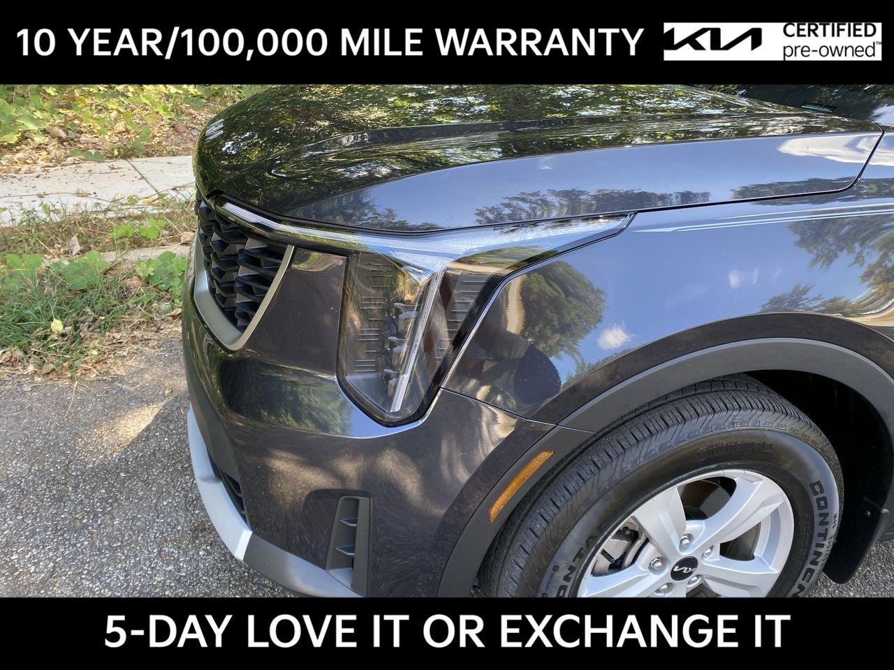 Used 2026 Panthera Metal Kia LX image 10