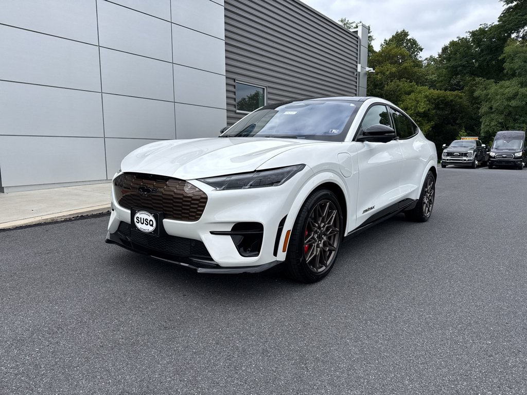 2025 Ford Mustang Mach-E GT - Photo 16