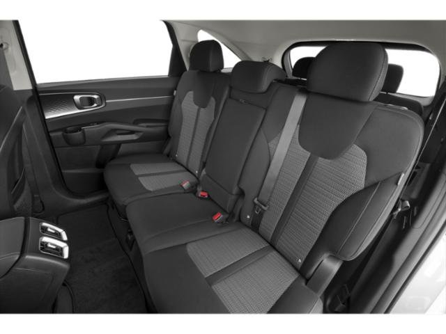 New 2026 Panthera Metal Kia LX image 13