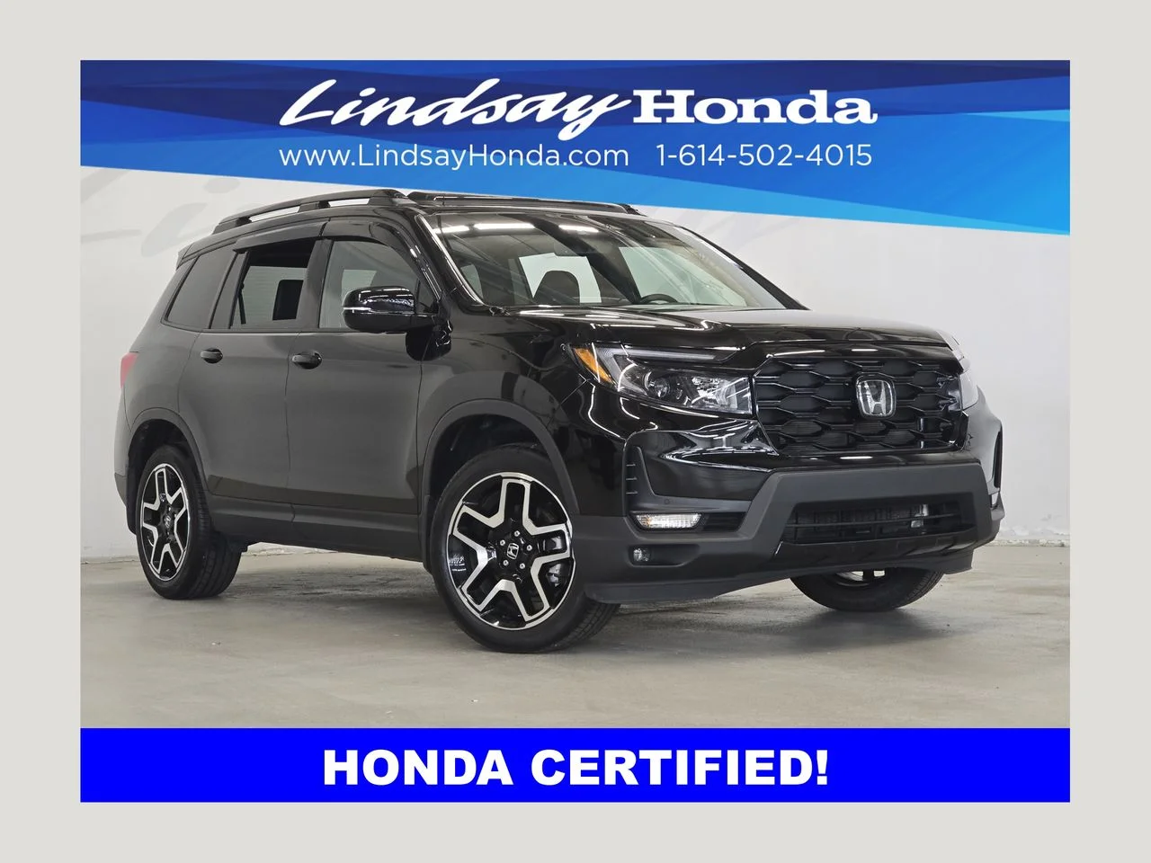 2023 Honda Passport 3.5 Elite 4WD Auto's photo